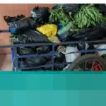 Kebun Binatang Bandung Kembali Beroperasi: Pengunjung Kini Dapat Masuk dengan Donasi Uang atau Sayuran