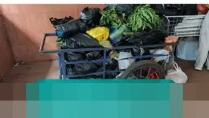 Kebun Binatang Bandung Kembali Beroperasi: Pengunjung Kini Dapat Masuk dengan Donasi Uang atau Sayuran