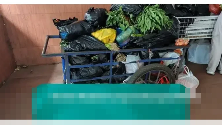 Kebun Binatang Bandung Kembali Beroperasi: Pengunjung Kini Dapat Masuk dengan Donasi Uang atau Sayuran