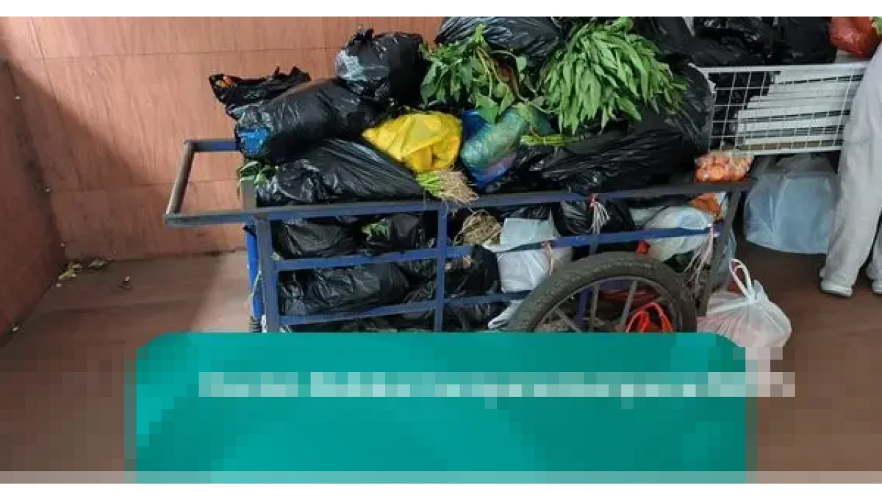 Kebun Binatang Bandung Kembali Beroperasi: Pengunjung Kini Dapat Masuk dengan Donasi Uang atau Sayuran