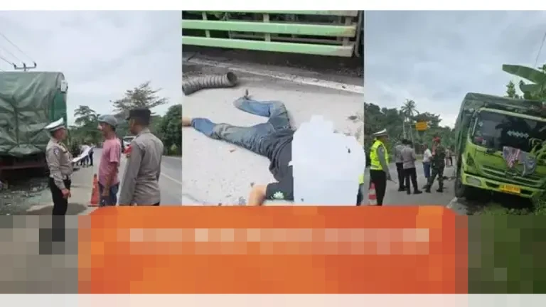 Kecelakaan Maut Truk Tabrak Truk di Jalinsum Lampung Selatan Tewaskan Tiga Orang, Dua Luka Berat