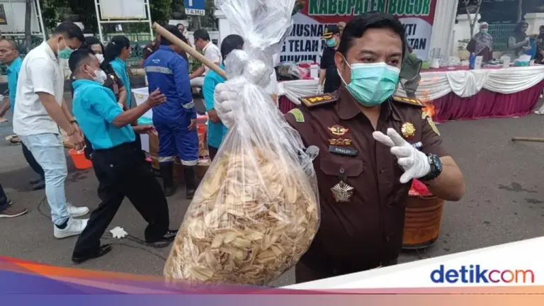 Kejari Kabupaten Bogor Musnahkan 5 Kg ‘Keripik Pisang Narkoba’ yang Disemprot Zat Adiktif