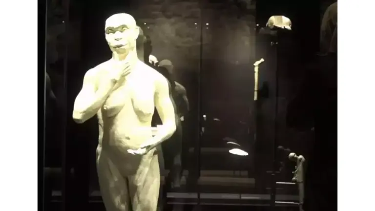 Kembalinya Java Man ke Indonesia: Mengakhiri Seabad Perjalanan, Memulihkan Memori Kolektif Bangsa