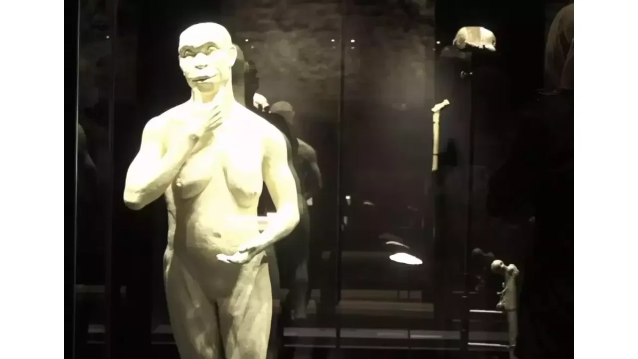 Kembalinya Java Man ke Indonesia: Mengakhiri Seabad Perjalanan, Memulihkan Memori Kolektif Bangsa Kembalinya Java Man ke Indonesia: Mengakhiri Seabad Perjalanan, Memulihkan Memori Kolektif Bangsa