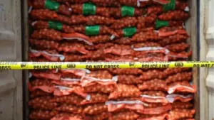 Kemendag Tegaskan Impor Bawang Bombai Legal Tetap Diizinkan, Kementan Sikat Ilegal