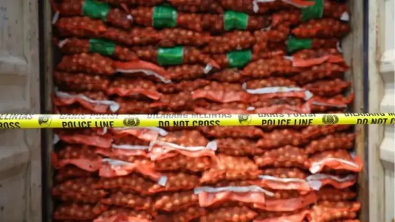 Kemendag Tegaskan Impor Bawang Bombai Legal Tetap Diizinkan, Kementan Sikat Ilegal