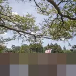 Kemenpar Ungkap Jawa Tetap Primadona Wisata Keluarga Selama Libur Natal dan Tahun Baru 2026