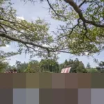 Kemenpar Ungkap Pulau Jawa Tetap Jadi Primadona Destinasi Wisata Keluarga Libur Nataru 2025/2026