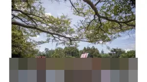 Kemenpar Ungkap Pulau Jawa Tetap Jadi Primadona Destinasi Wisata Keluarga Libur Nataru 2025/2026