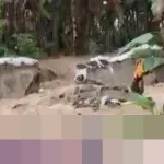 Kepala BPBD Semarang: Ratusan Kepala Keluarga Terdampak Banjir Akibat Tanggul Kali Babon Jebol