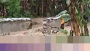 Kepala BPBD Semarang: Ratusan Kepala Keluarga Terdampak Banjir Akibat Tanggul Kali Babon Jebol