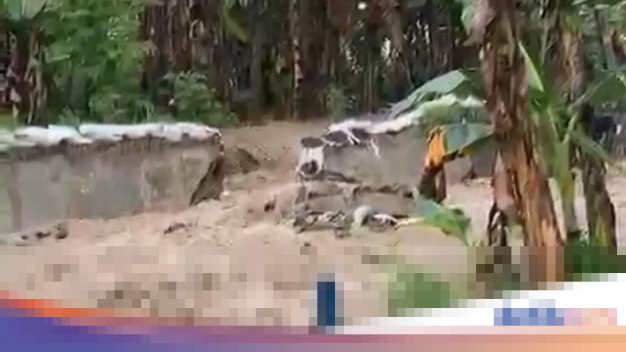 Kepala BPBD Semarang: Ratusan Kepala Keluarga Terdampak Banjir Akibat Tanggul Kali Babon Jebol