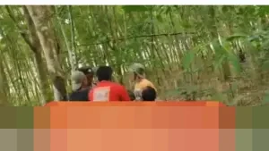 Kepala Desa Braja Asri Lampung Timur Tewas Diserang Gajah Liar Saat Penggiringan dari Kebun Warga