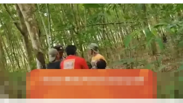 Kepala Desa Braja Asri Lampung Timur Tewas Diserang Gajah Liar Saat Penggiringan dari Kebun Warga