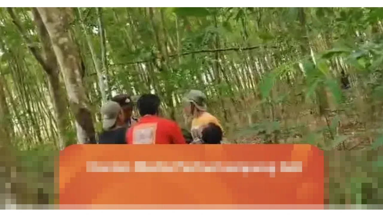 Kepala Desa Braja Asri Lampung Timur Tewas Diserang Gajah Liar Saat Penggiringan dari Kebun Warga