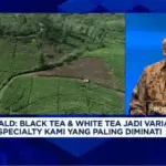 Ketua Asosiasi Teh Specialty Ungkap Potensi Black Tea dan White Tea RI di Pasar Global