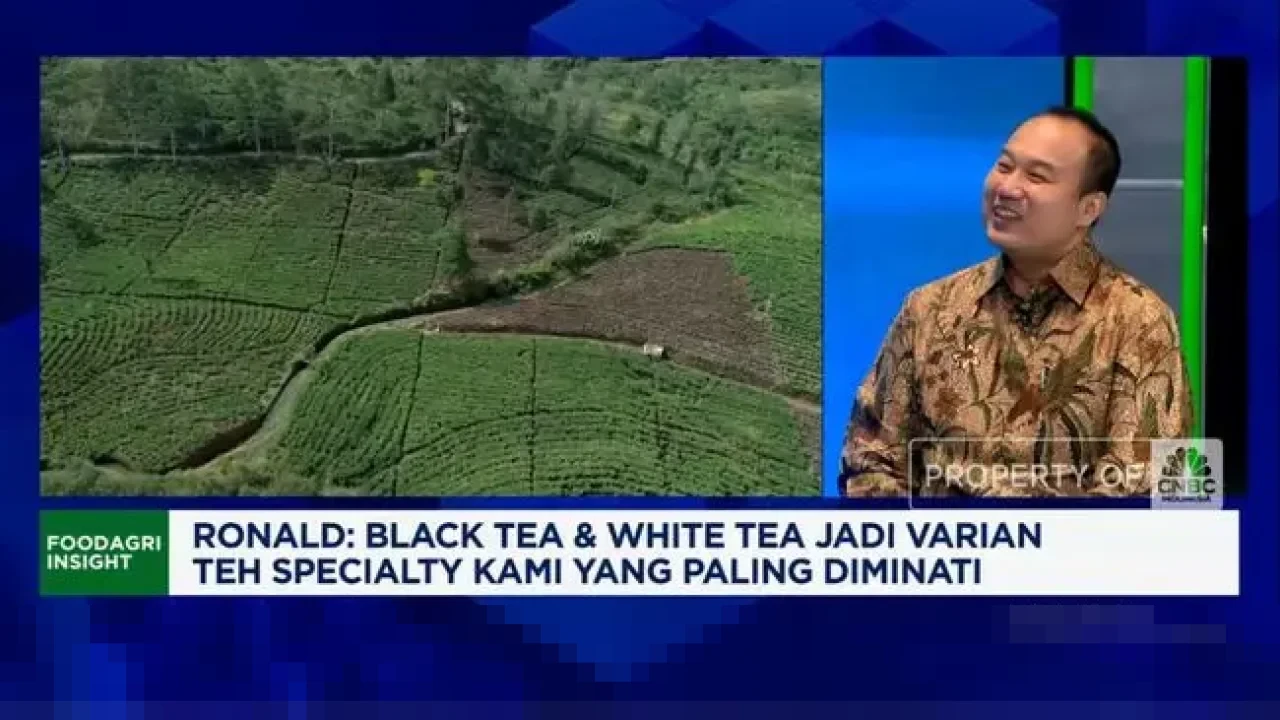 Ketua Asosiasi Teh Specialty Ungkap Potensi Black Tea dan White Tea RI di Pasar Global Ketua Asosiasi Teh Specialty Ungkap Potensi Black Tea dan White Tea RI di Pasar Global