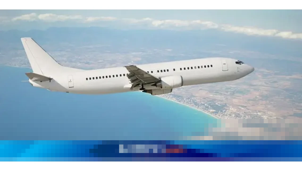 Ketua INACA: Pemulihan Penerbangan 2025 Butuh ‘Political Will’ Pemerintah