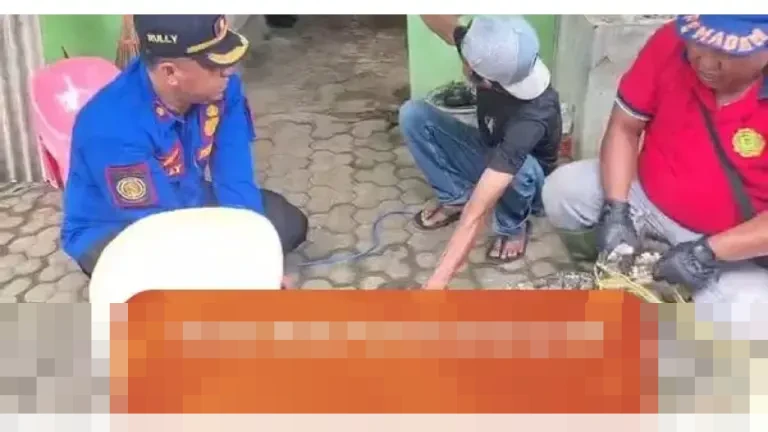 Khawatir Menggigit, Buaya Peliharaan 28 Tahun di Lampung Selatan Dievakuasi Damkarmat