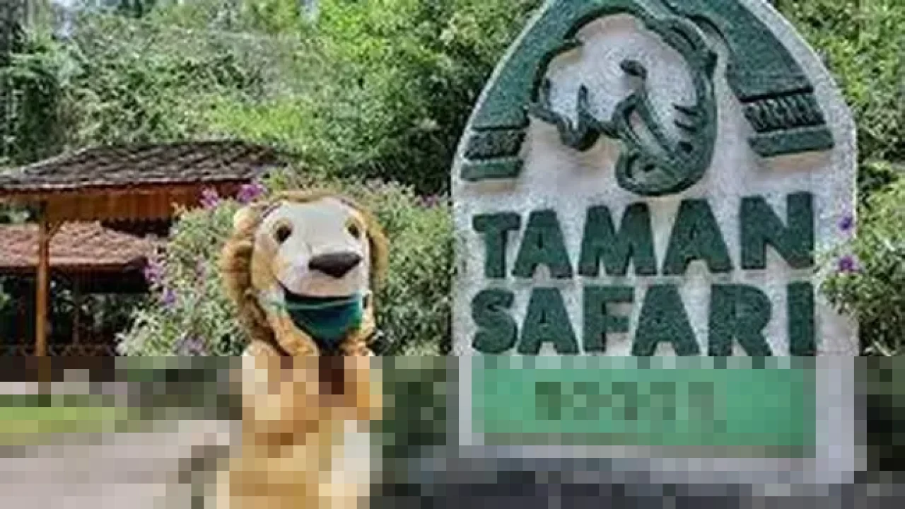 Kisah Tiga Bersaudara di Balik Megahnya Taman Safari Indonesia, Destinasi Konservasi Populer