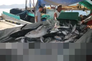 KKP Jamin Pelayanan Pelabuhan Perikanan Optimal di Nataru, Peringatkan Nelayan Waspada Cuaca Ekstrem