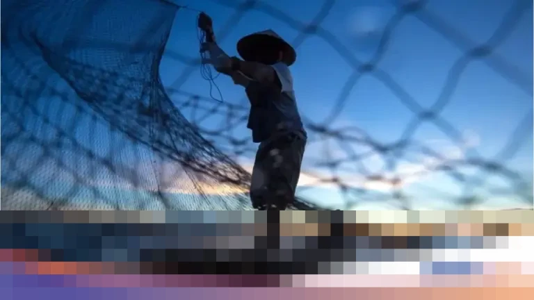 KKP Peringatkan Nelayan Waspada Cuaca Ekstrem Akhir Tahun, Pastikan Pasokan Ikan Aman