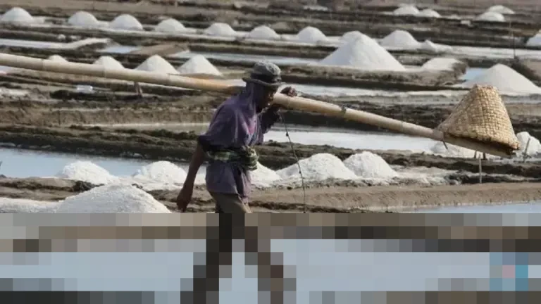KKP: Swasembada Garam 2027 Tetap Target, Impor Dimungkinkan Jika Produksi Belum Cukup
