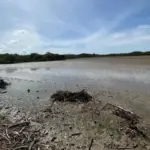 KKP Targetkan Produksi Garam Industri di Rote Ndao Dimulai Maret 2026