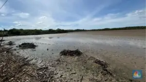 KKP Targetkan Produksi Garam Industri di Rote Ndao Dimulai Maret 2026