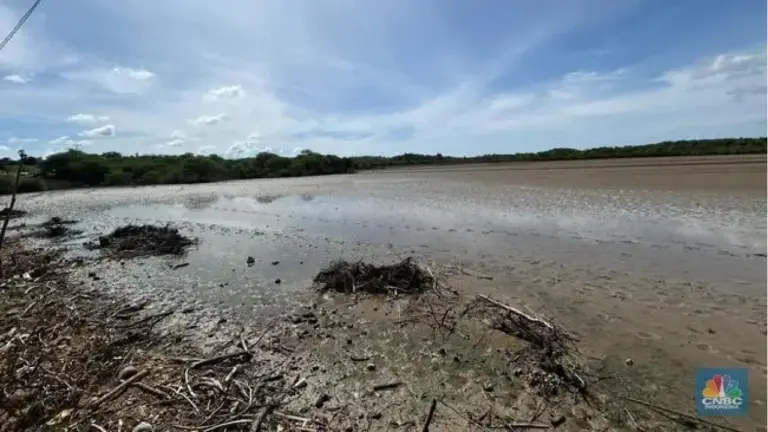 KKP Targetkan Produksi Garam Industri di Rote Ndao Dimulai Maret 2026