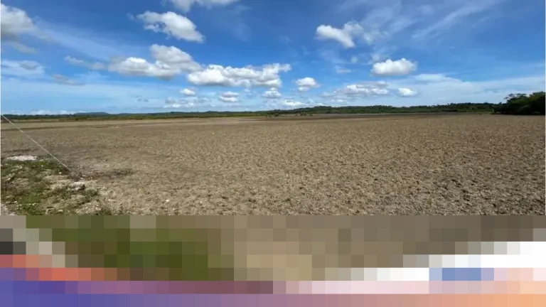 KKP Tawarkan 8.000 Hektare Lahan di Rote Ndao untuk Investasi Industri Garam Nasional