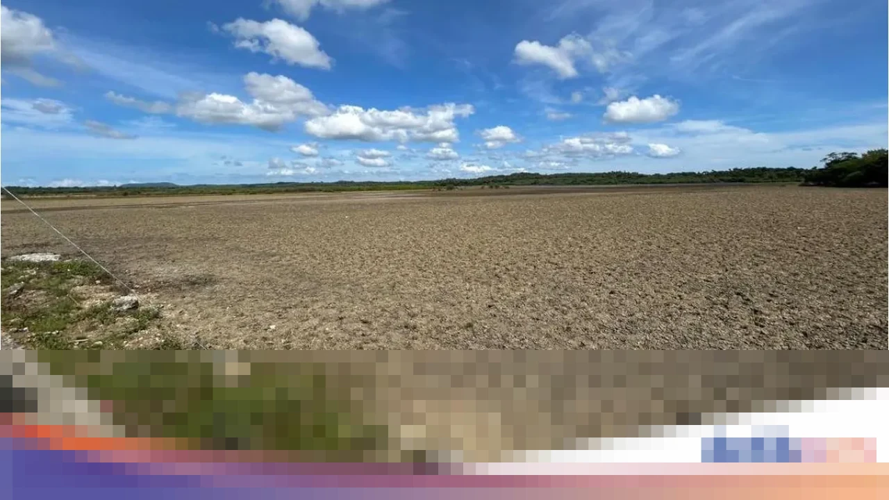 KKP Tawarkan 8.000 Hektare Lahan di Rote Ndao untuk Investasi Industri Garam Nasional KKP Tawarkan 8.000 Hektare Lahan di Rote Ndao untuk Investasi Industri Garam Nasional