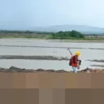 KKP Tunda Pembukaan Investasi Swasta di Kawasan Sentra Industri Garam Nasional Rote Ndao