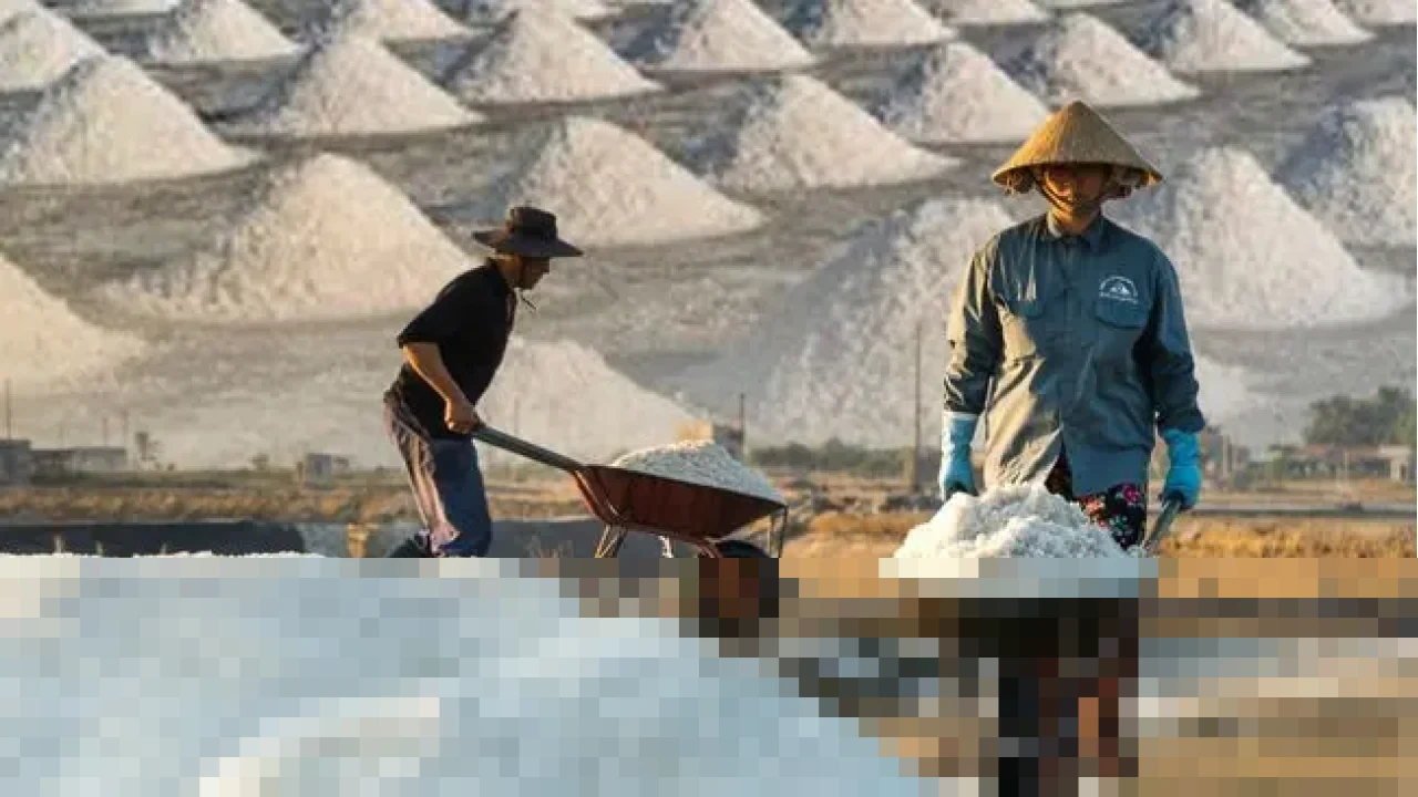 KKP Ungkap Produksi Garam RI 2025 Hanya 1 Juta Ton, Imbas Cuaca Tak Menentu KKP Ungkap Produksi Garam RI 2025 Hanya 1 Juta Ton, Imbas Cuaca Tak Menentu