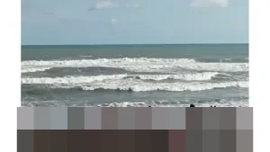 Kunjungan Wisatawan ke Bantul Saat Libur Natal 2025 Tembus 38 Ribu Orang, Sektor Pariwisata Hadapi Penurunan