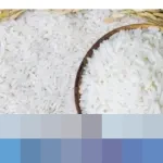 Larangan Impor Beras Industri 2026 Berpotensi Picu Kenaikan Harga Pangan Olahan, CIPS Soroti Ketidakpastian