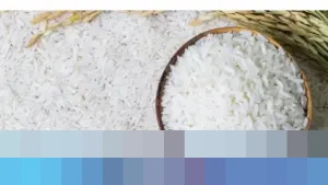 Larangan Impor Beras Industri 2026 Berpotensi Picu Kenaikan Harga Pangan Olahan, CIPS Soroti Ketidakpastian