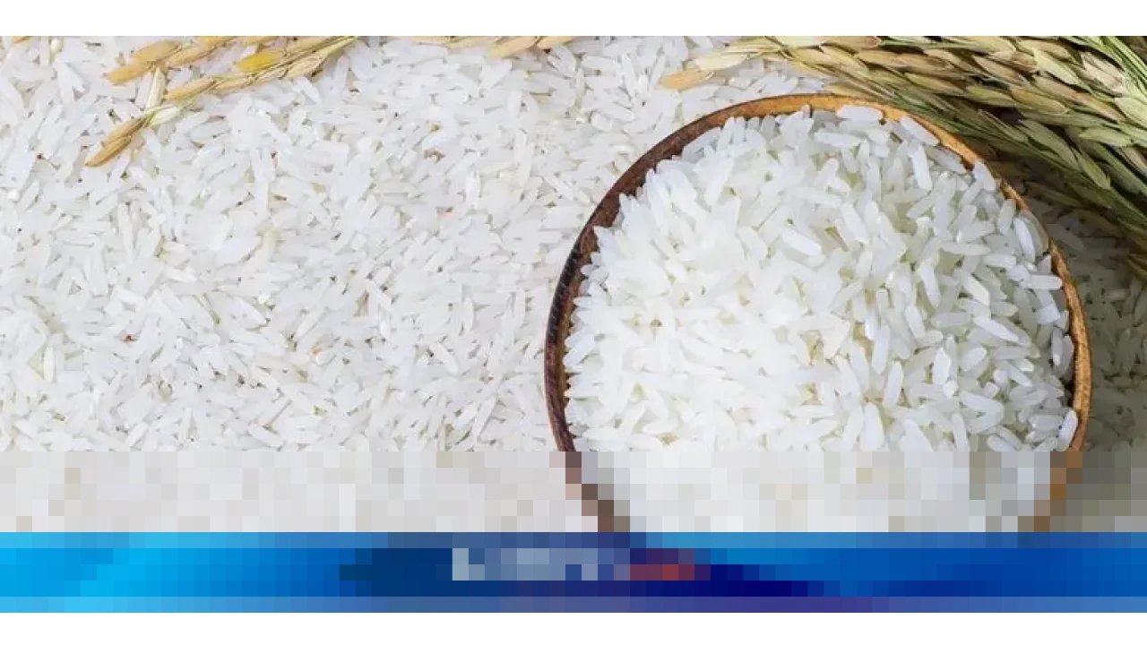 Larangan Impor Beras Industri 2026 Berpotensi Picu Kenaikan Harga Pangan Olahan, CIPS Soroti Ketidakpastian