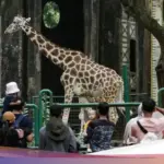 Libur Nataru 2025-2026, TM Ragunan Buka Lebih Awal dan Tutup Lebih Malam untuk Pengunjung