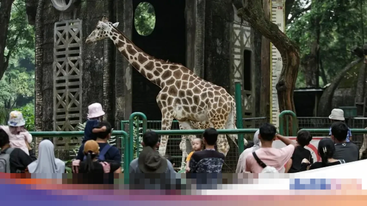 Libur Nataru 2025-2026, TM Ragunan Buka Lebih Awal dan Tutup Lebih Malam untuk Pengunjung