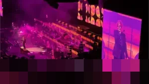 Melintasi 8 Kota Eropa dalam 11 Hari: Kisah Tung Yon Heong Berburu 9 Konser Musisi Favorit