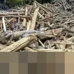 Mendagri Tito Karnavian Ungkap 22 Desa Hilang Akibat Banjir Bandang Sumatra, Aceh Terparah