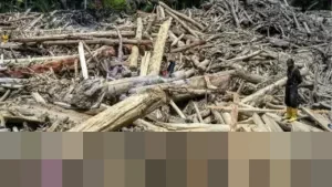 Mendagri Tito Karnavian Ungkap 22 Desa Hilang Akibat Banjir Bandang Sumatra, Aceh Terparah