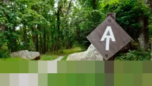 Menguji Batas Diri di Appalachian Trail: Nick Harris-Fry Taklukkan Tantangan Virtual Terberat Garmin