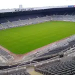 Mengulas Ketajaman Striker Newcastle United: 5 Pemain Ini Langsung Jadi Top Skor di Musim Debut