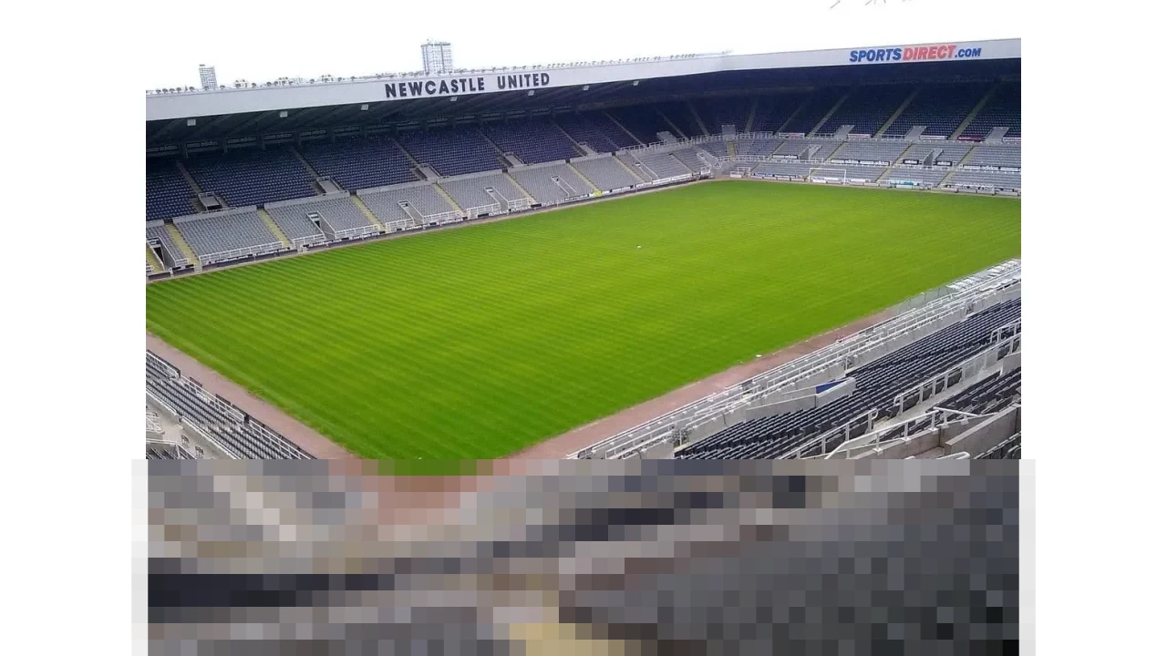 Mengulas Ketajaman Striker Newcastle United: 5 Pemain Ini Langsung Jadi Top Skor di Musim Debut