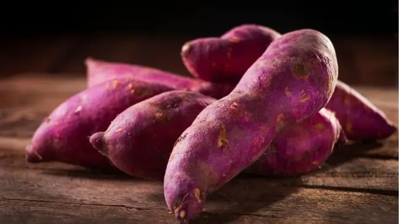 Mengungkap Manfaat Tersembunyi Ubi Jalar: Energi Optimal, Pencernaan Lancar, dan Penurunan Berat Badan