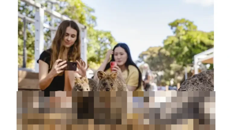 Menjelajahi Pesona Australia Barat: Destinasi Impian untuk Liburan Keluarga Tak Terlupakan Menjelajahi Pesona Australia Barat: Destinasi Impian untuk Liburan Keluarga Tak Terlupakan