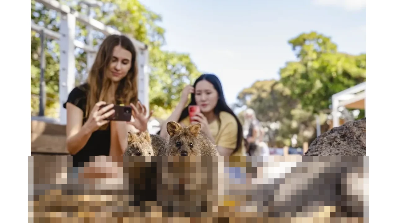 Menjelajahi Pesona Australia Barat: Destinasi Impian untuk Liburan Keluarga Tak Terlupakan