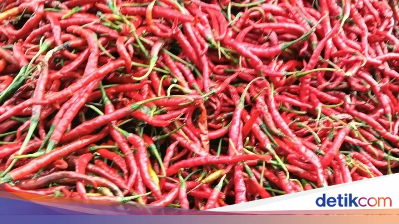 Mentan Amran: Kenaikan Harga Cabai Wajar Akibat Cuaca Ekstrem, Beras dan Telur Tak Boleh Mahal